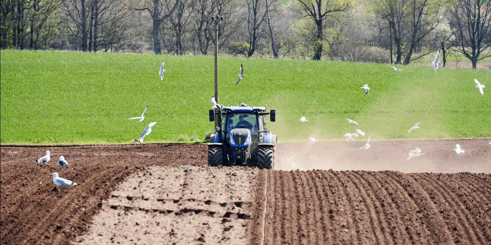 Tractor working in a field